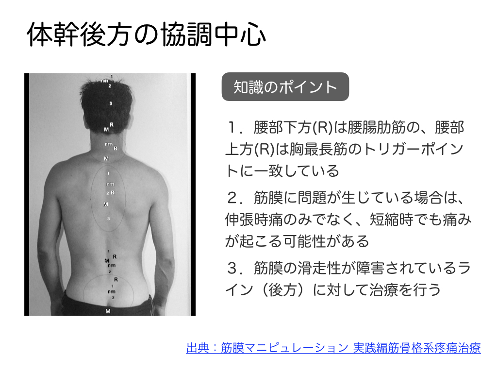 筋膜リリースプラクティショナー資格講座